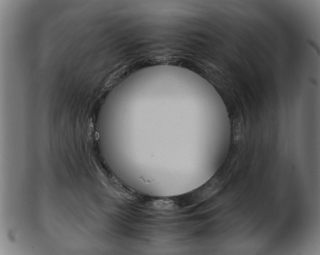 X0000103480279200809120935