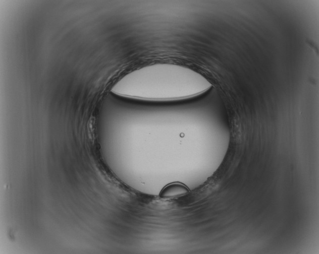 X0000103480280200809120935