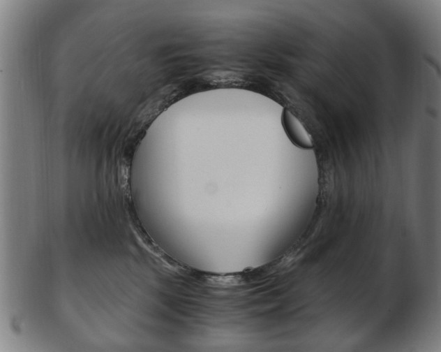 X0000103480281200809120935
