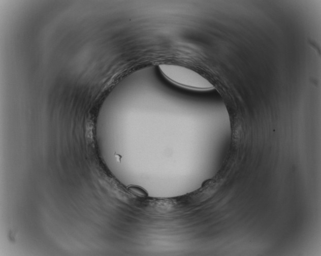 X0000103480282200809120935