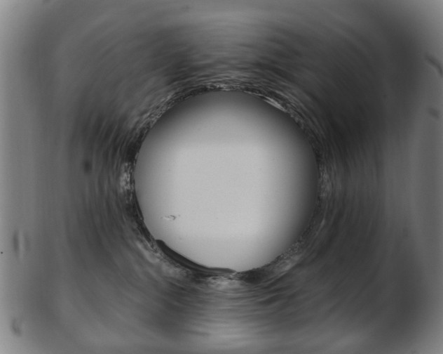 X0000103480284200809120935