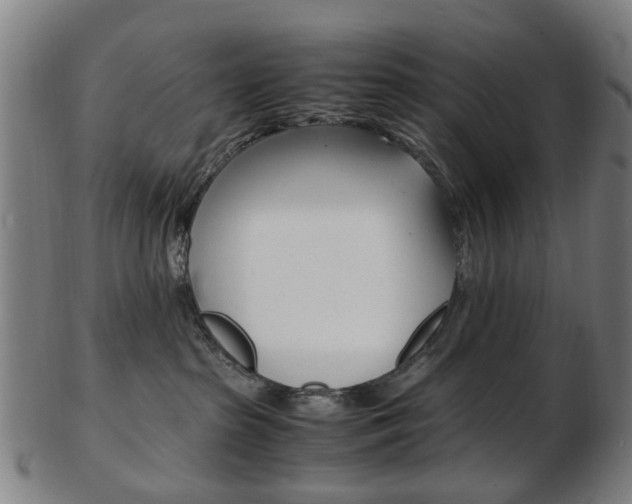 X0000103480285200809120935