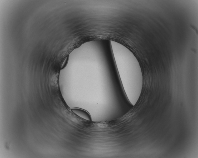 X0000103480286200809120935