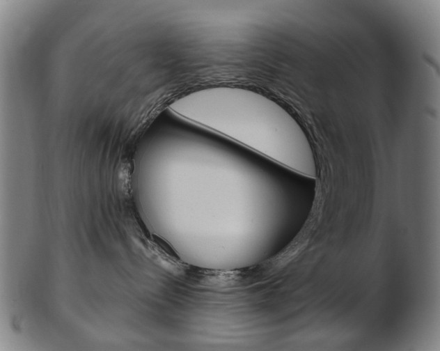 X0000103480288200809120935