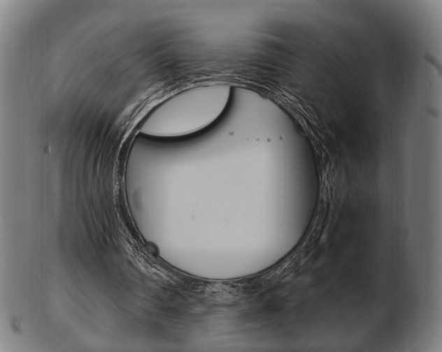 X0000103480290200809120934