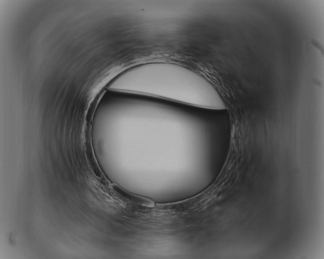 X0000103480292200809120934