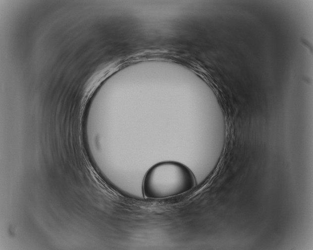 X0000103480293200809120934