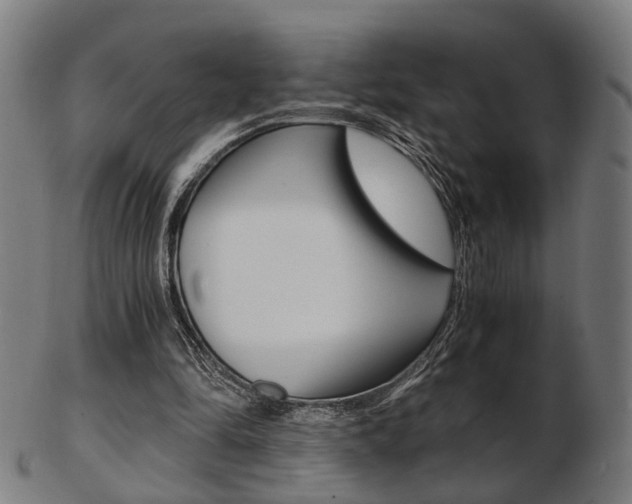 X0000103480294200809120934