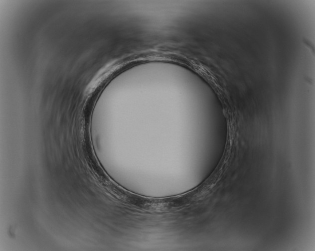 X0000103480295200809120934
