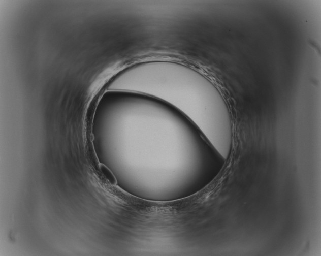 X0000103480296200809120934