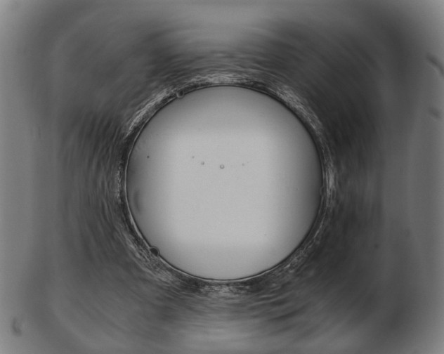 X0000103480297200809120934