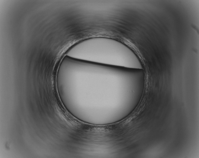 X0000103480298200809120934