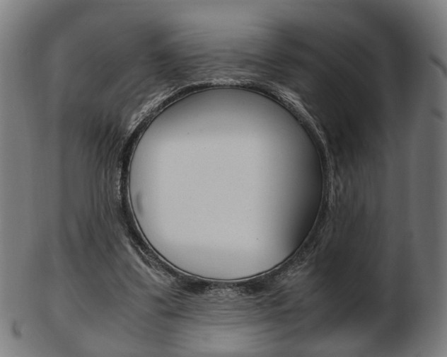 X0000103480299200809120934
