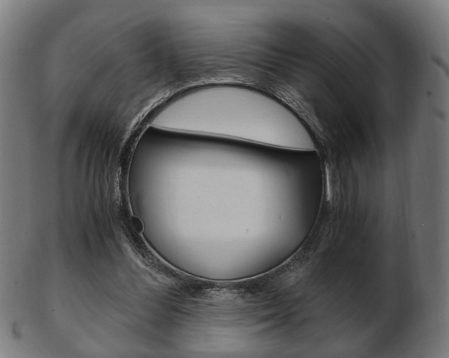 X0000103480300200809120934