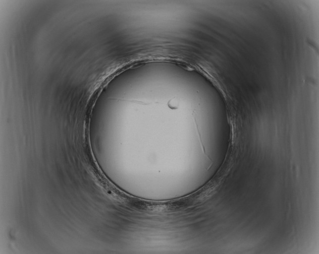 X0000103480301200809120934