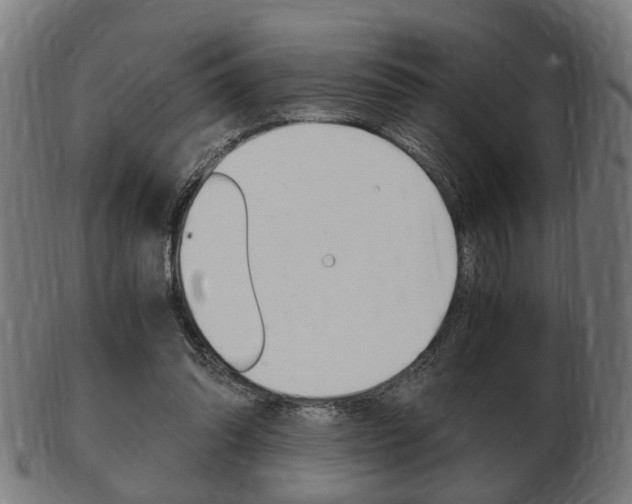 X0000103480302200809120934