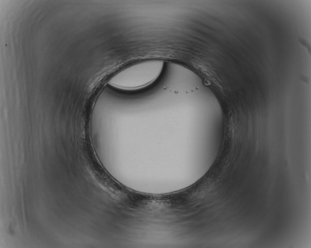 X0000103480303200809120934