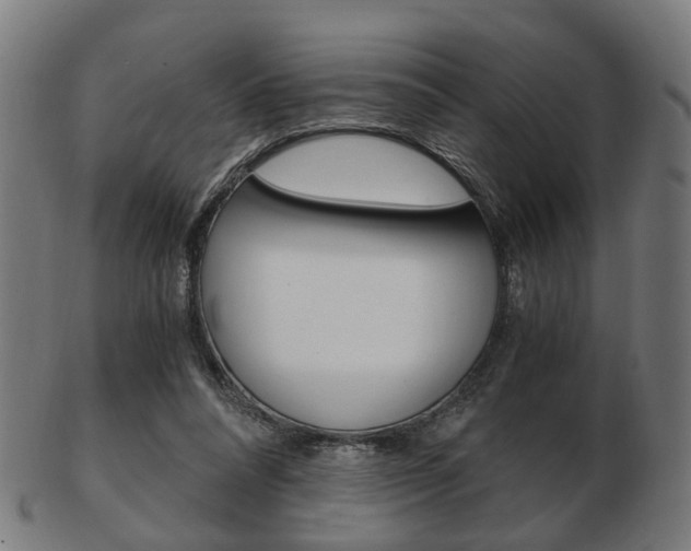 X0000103480304200809120934