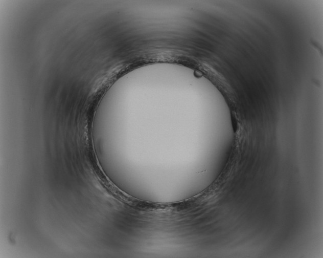 X0000103480306200809120934
