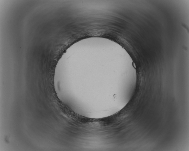 X0000103480307200809120934