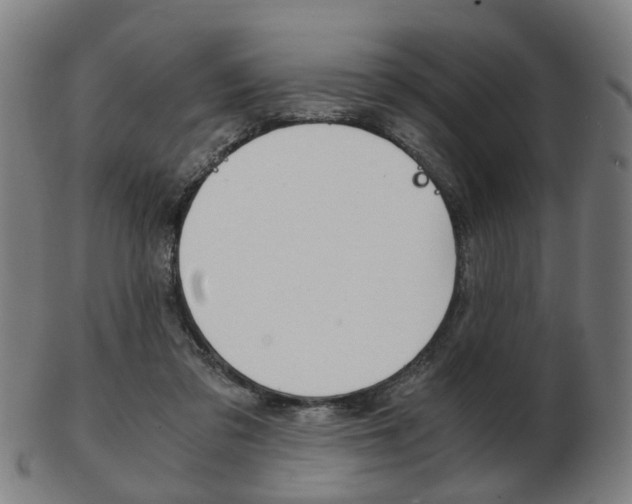 X0000103480309200809120934