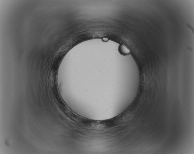 X0000103480311200809120934