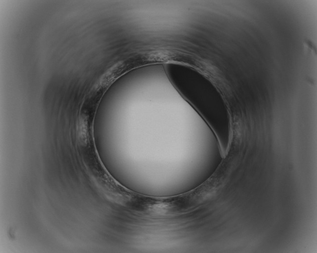 X0000103480312200809120934