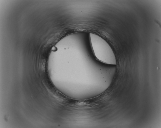 X0000103480315200809120934