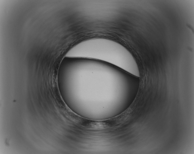 X0000103480316200809120934