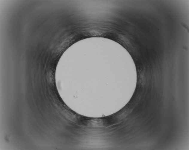 X0000103480317200809120934