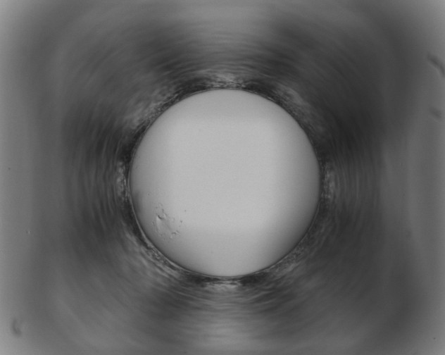 X0000103480318200809120934