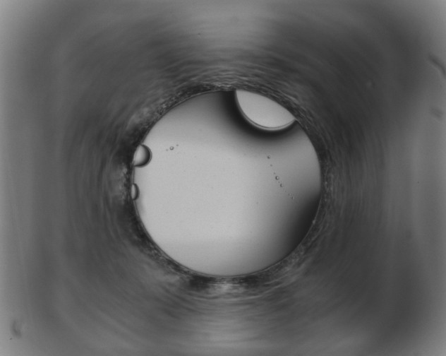 X0000103480319200809120934