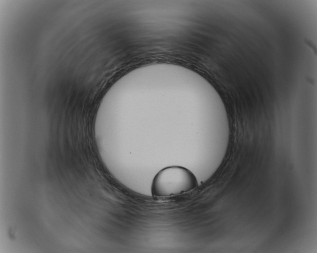 X0000103480320200809120934