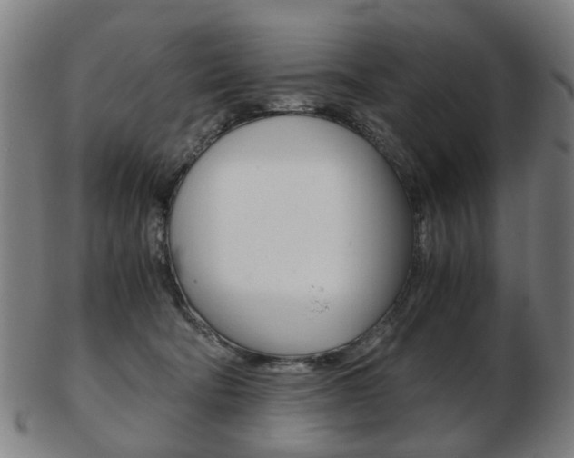 X0000103480322200809120934