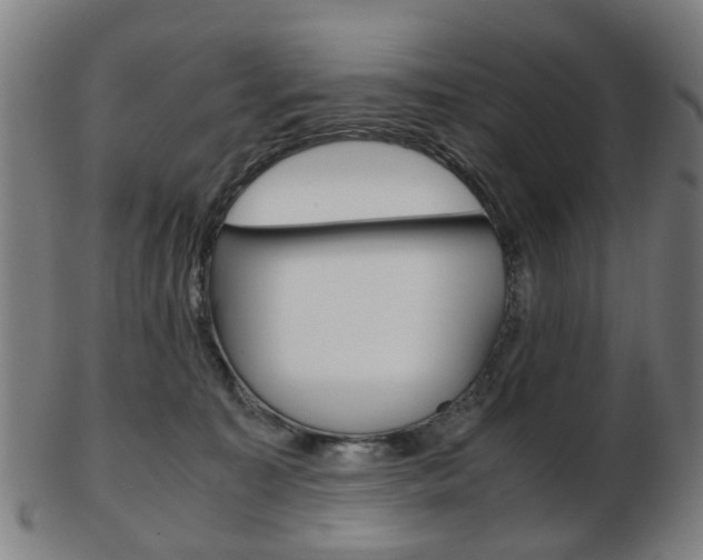 X0000103480323200809120934