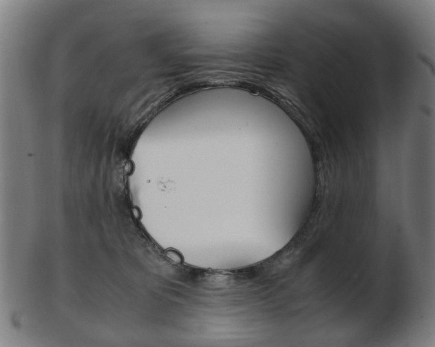 X0000103480325200809120934