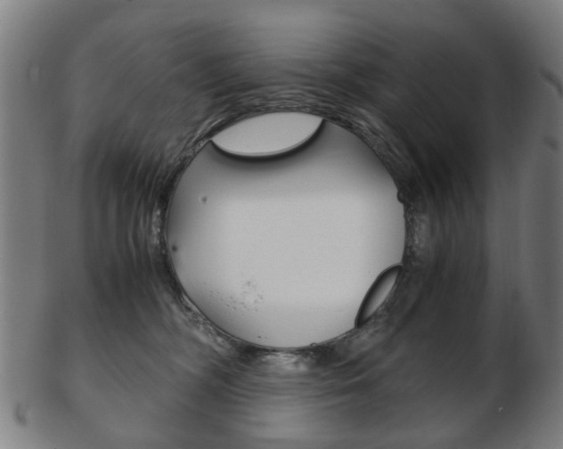 X0000103480326200809120934