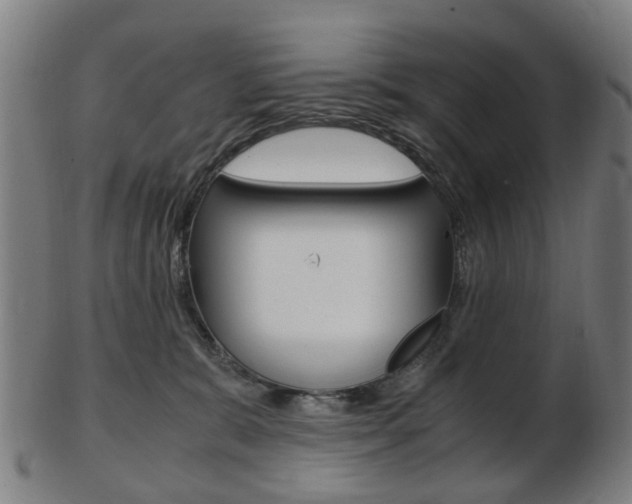 X0000103480327200809120934