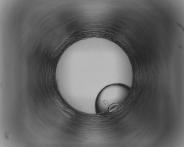 X0000103480328200809120934
