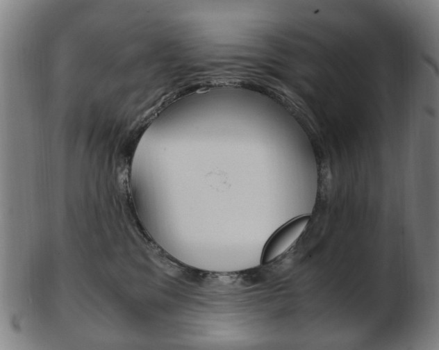 X0000103480329200809120933