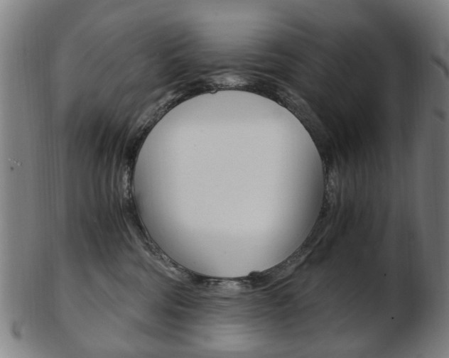 X0000103480330200809120933
