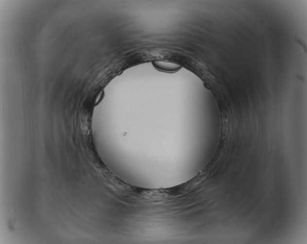 X0000103480331200809120933
