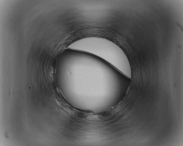 X0000103480332200809120933