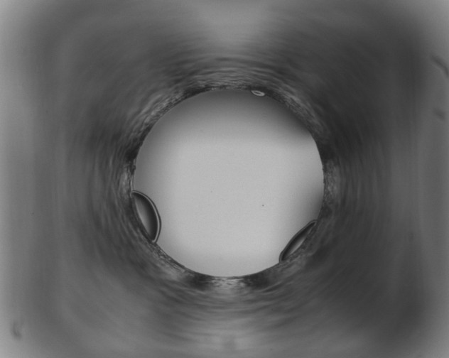 X0000103480333200809120933