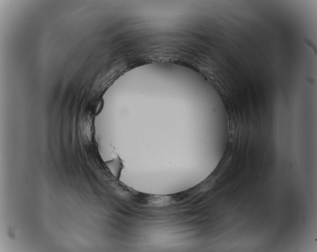 X0000103480334200809120933