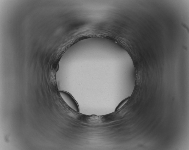 X0000103480335200809120933