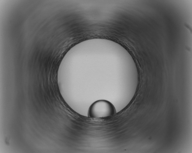 X0000103480336200809120933