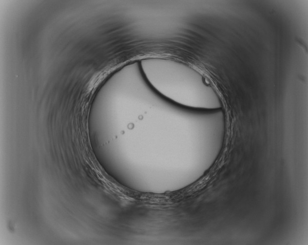 X0000103480337200809120933