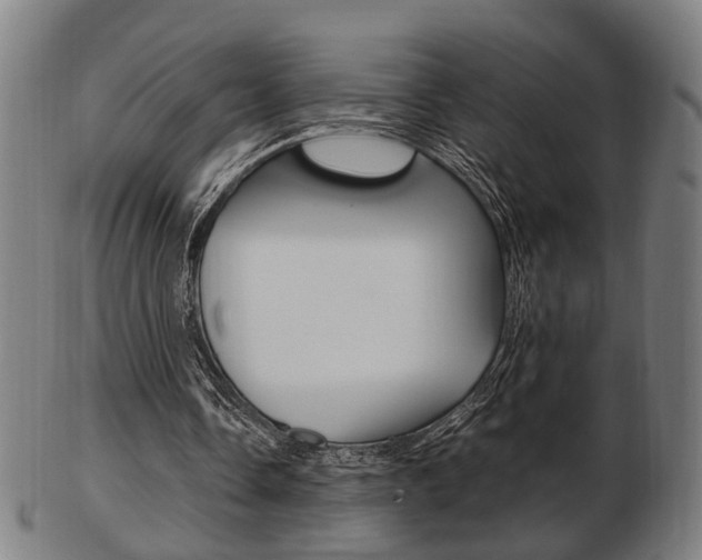 X0000103480338200809120933