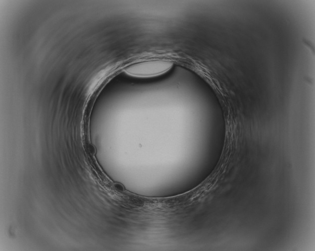 X0000103480340200809120933